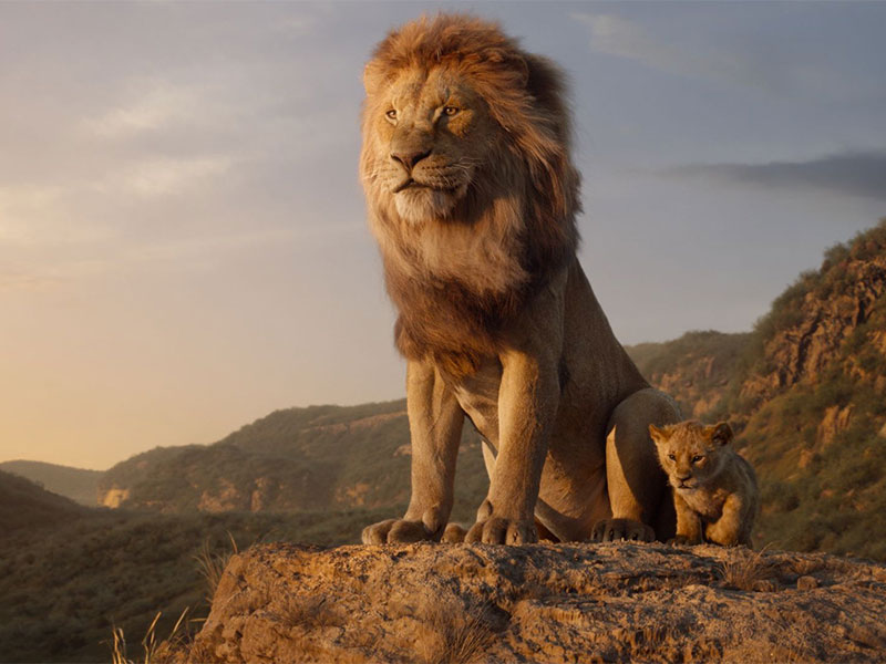 الكشف عن الصور الترويجية الرسمية لنجوم The Lion King